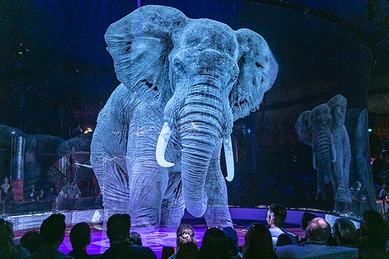 Elefant Holographie Circus Roncalli München 2019 - "Storyteller: Gestern, heute, morgen" Gastspiel am Leonrodplatz vom 12.10.-12.11.2019